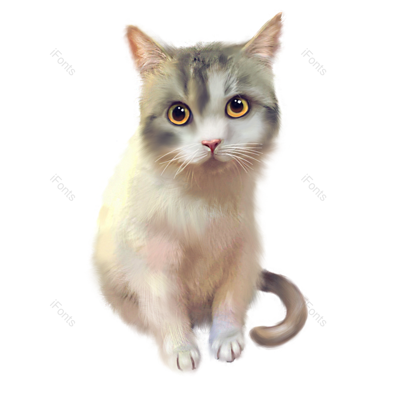 小猫咪图片,宠物元素,动物PNG,手绘免抠素材